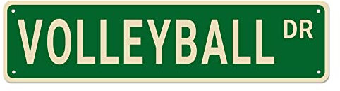 Volleyball-Straßenschilder, Volleyball-Dekor, Volleyball-Schild, Volleyball-Geschenk, Wanddekoration für Zuhause/Küche/Männerhöhle, hochwertige Metallschilder, 40,6 x 10,2 cm
