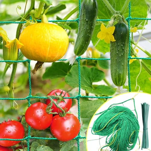 IKSAMY Malla para Enredaderas 2x3m con Amplia Distancia Entre Nudos, Red para pepinos, Malla para Plantas trepadoras - Soporte Ideal para pepinos, Tomates, Jardines y Accesorios para invernaderos