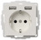 2USB inchargePRO USB AA Steckdose 12W 2.4A Mattes Weiß