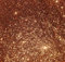 H+V Paul Kamm® 100g Premium-Glitter Zusatz Wandfarbe Deckenfarbe Glitzer