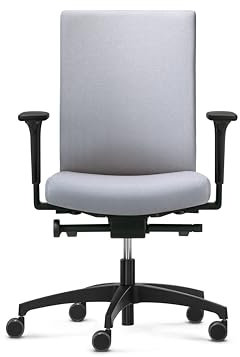 Dauphin Adjust Evo Cozy Colours | ergonomischer Bürostuhl mit höhenverstellbarer Rückenlehne (7cm) | Schreibtischstuhl mit höhen und breitenverstellbaren Armlehnen für Büro & Homeoffice (grau)