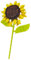 Sunflower Flower Building Blocks Set – Make Your Own Bouquet Faux Plant Bricks Toy Kits – for Kids 6+ and Adults