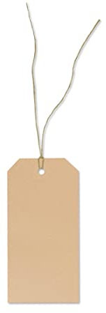 500 Warenanhänger aus Karton Stückwarenanhänger Hängeetiketten 60x120 mm mit Faden offen 5223010 + 692001O Anhängeetiketten Kartonetiketten