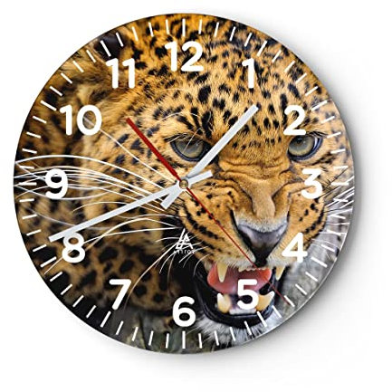 Modern Wanduhr Leopard Tier savanne Afrika 30x30cm Rund Klein Wand Uhr Glas Analog Zimmeruhren Küche Büro Wohnzimmer Glasuhr Wall Clock Dekoration Design Wanddekoration Küchenuhr C4AR30x30-2728