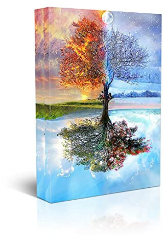 Yangxiaolei Canvas Prints Réflexion Quatre Saisons Arbre de Vie Impression sur Toile Tableau Décoration Murale Salon Moderne 60x80cm(23.6x31.5inch) Sans cadre