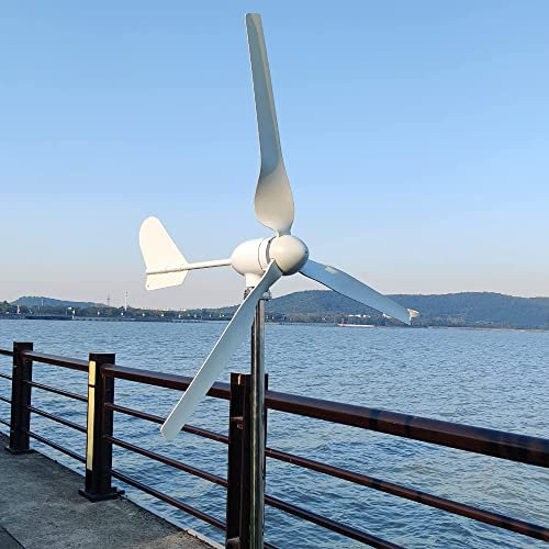 1000W Windkraftanlage 12V 24V 48V Windturbine mit MPPT Laderegler Windräder Windgenerator für Heimgebrauch (24V mit Regler)