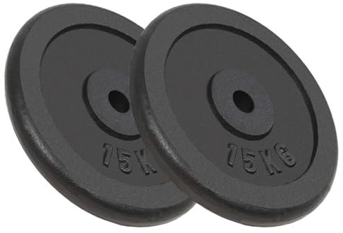 LAPOOH Hantelscheiben 2 STK. 2x15 kg Gusseisen, Gewichte Hantel, Gewichtsscheiben, Trainingsgewichte, Hantelgewichte, Fitness Gewichte