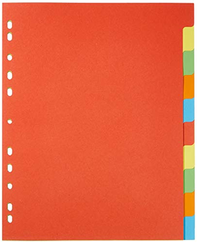 Pagna 32006-20 Register, A4, XXL, 10-teilig, 5-farbig