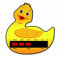 Colour Change Products Badethermometer, Kartenform, Design: Ente, babysicher