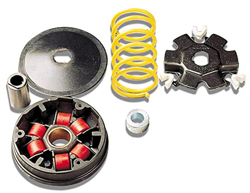 Variator Malossi Multivar für Honda Dio/Vision/Wallaroo, Peugeot Fox/Rapido/ST 50ccm, Gegendruckfeder: weiß, Gewicht