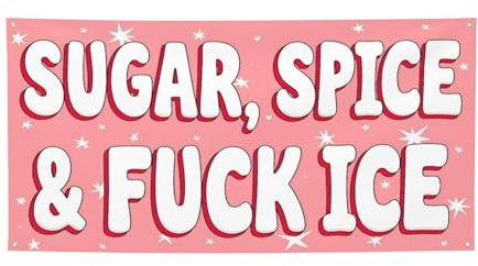 Bannière anti-glace 2x4 pi « Sugar Spice And Fuck ICE » - Décoration murale pour chambre