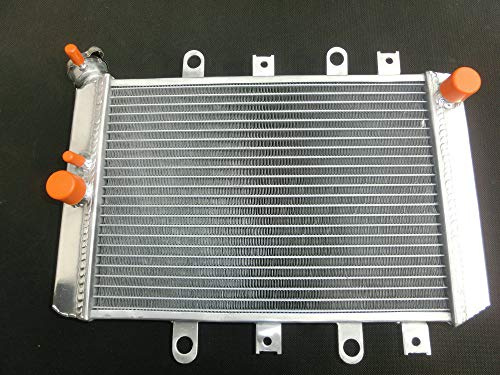 Radiateur en aluminium pour quad Yamaha Grizzly 700 550 500 édition spéciale YFM7FG YFM700 FI EPS 2007-2013