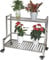 WYFZT 2 Stufe Blumentreppe Edelstahl Tiered Pflanzenständer Pflanzentreppe Blumentopfständer Display Pots Halter Pflanzenständer Blumenbank für Indoor Outdoor Garden Terrasse Treuhhouse