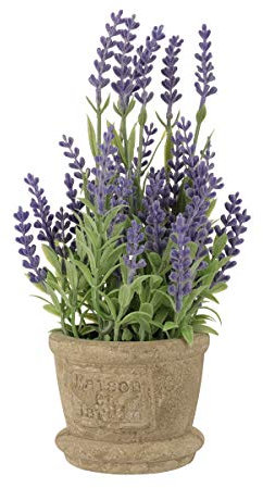 Lavendel Deko Künstliche Lavendelanlage in Topf Gepflogene Gef?lschte Faux Pflanzen Lebensleine Grün Für Hochzeit Tischtisch- Mittelstück Büro- Raumdekoration Lavendel Künstlich