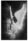 juaseehke Nessa Barrett Young Forever-Poster, dekoratives Leinwandposter, ästhetisches Poster, Wandkunst, Dekor-Poster, 30 x 45 cm, ungerahmt, 1