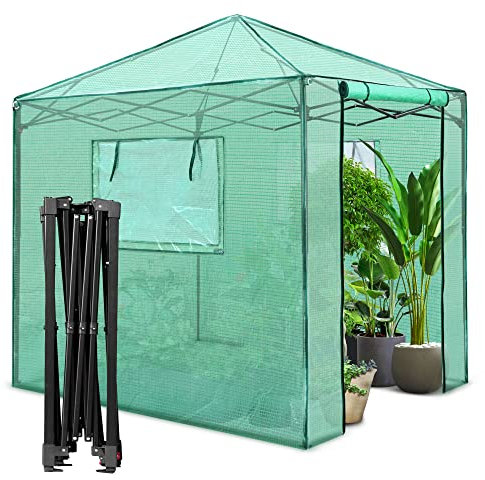 PexFix Tragbares begehbares Gewächshaus, 2,4 x 2,4 m, einfache Einrichtung, für drinnen und draußen, Gewächshaus, sofort aufklappbares Gewächshaus, 2 aufrollbare Netzfenster und aufrollbare