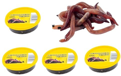 Dendrobena Regenwurm Rotwurm Würmer mittleregröße ca. 100 Stück 4 Dose Lebendfutter, Angelköder, Haustierfutter, Reptilienfutter