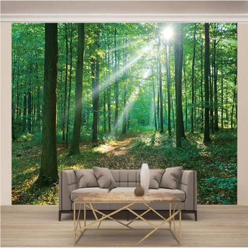 Papier peint non tissé effet 3D forêt soleil pour chambre d'enfant XL 240 x 170 cm Papier peint non tissé Papier peint Papel de Parede Vert