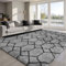 Sour Lemon Hochflor Teppich Grau Carpet Wohnzimmer 240x300 Waschbar Anti-Rutsch Extra Große Teppiche Schlafzimmer Flauschige Moderne Teppiche Matte Teppichen für Schlafzimmer Kinderzimmer
