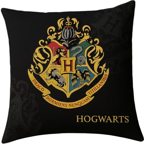 Harry Potter Kissen, Kuschelkissen mit Hedwig oder Hogwarts Motiv, 40 x 40 cm, super weich (Hogwarts)