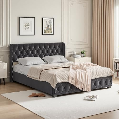 OLIVIBED Polsterbett 160 x 200 mit Bettkasten, Modern Doppelbett mit Kopfteil und Stauraum, Boxspringbett mit Lattenrost, Bettgestell für Schlafzimmer, Samt, Ohne Matratze, Dunkelgrau