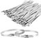 100 Pezzi Fascette Metalliche, 200 x 4.6 mm Fascette in Acciaio Inox, Fermacavo Metalliche Autobloccanti, Fascette Inox per Fasci Cavi, Manutenzione del Giardino e Tende Sole