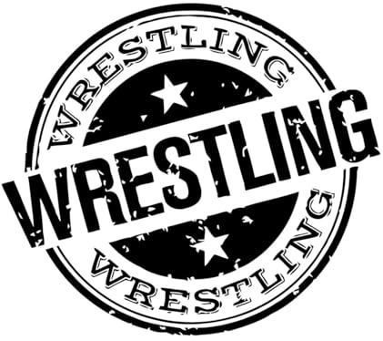 Wandtattoo Wrestling, motivierendes Zitat, Wrestling-Schild, Wandaufkleber, Wrestler, Wandkunst, Dekor, Vinyl, entfernbare Tapete, klein – 37x42cm