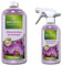 BIPLANTOL® Orchideen - 500ml Spray + 1L Nachfüllflasche | natürliche Orchideen Pflege für Blühfreudigkeit & Vitalität | Orchideen Spray, anwendungsfertige Sprühlösung ohne Kalkrückstände