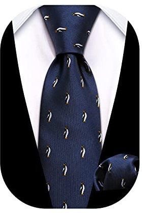 Barry.Wang Boys Tie Boys Silk Necktie Pocket square Set,Paisley Plaid For Prom Party Busines Ceremony