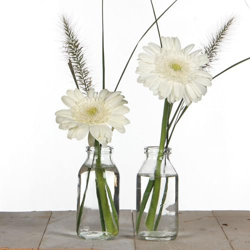 12 x Glasfläschchen H 10,5 cm - kleine Deko Vasen für die Tischdeko Vintage - Minivase (12 x Glasfläschen + weißem Dekoband)