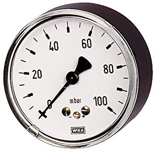 RIEGLER 102552-5825 Kapselfedermanometer, G 1/4 hinten zentrisch, 0-250 mbar, Ø 63, 1Stk