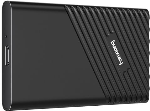 fanxiang Externe SSD 1TB Festplatte Bis zu 2000MB/s, USB 3.2 Gen.2x2 Typ C, Professional Externe SSD, Zuverlässiger Speicher für Desktops, Laptops, PC, XS Windows PS2000W