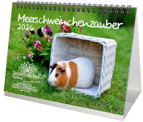 Meerschweinchenzauber DIN A5 Tischkalender für 2026 Meerschwein - Set-Inhalt: 1x Kalender 1x Weihnachtsanhänger 1x Grußanhänger (gesamt 3 Teile)