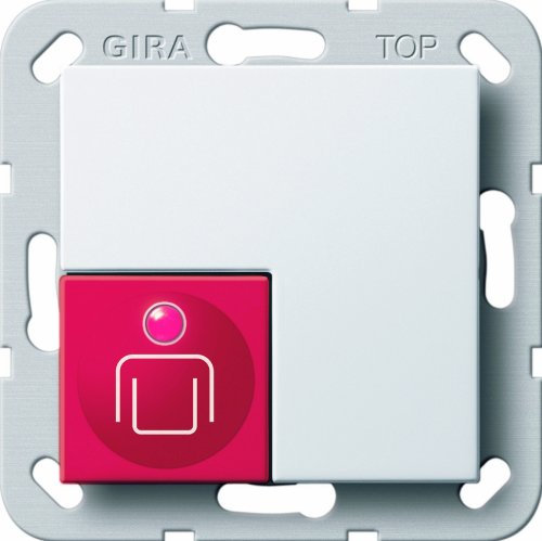 Gira 290003 Ruftaster System 55, reinweiß