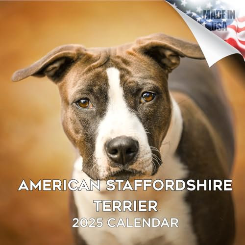 2025 2026 American Staffordshire Terrier Kalender – Monatlicher Wandkalender für Hunderassen – 30,5 x 61 cm offen – dickes Papier ohne Auslaufen – Geschenk – akademischer Lehrerplaner Kalender