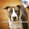 2025 2026 American Staffordshire Terrier Kalender – Monatlicher Wandkalender für Hunderassen – 30,5 x 61 cm offen – dickes Papier ohne Auslaufen – Geschenk – akademischer Lehrerplaner Kalender