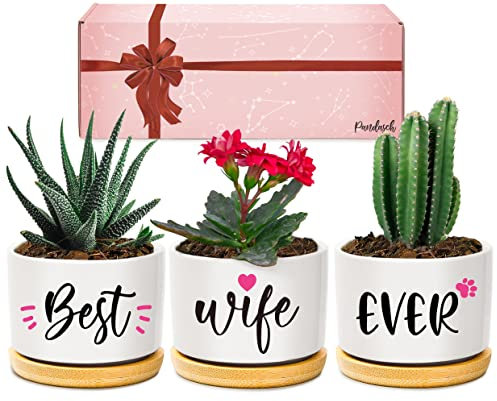 Pandasch Gifts for Wife, Wife Gifts, Wife Birthday Gifts, Anniversary Wedding Valentines Day Gifts for Her, Best Wife Ever Succulent Pots for Plants Indoor & Outdoor, Arrive Beautifully Gift Boxed