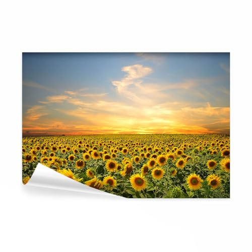 decomonkey Premium Fototapete Landschaft, 350x256 cm, Sonnenblumen Himmel
