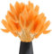 120 Pcs Getrocknetes Pampasgras,Lagurus Getrocknet,Trockenblumen Bodenvase,Natürlich Pampasgras Blumenstrauß,Trockenblumen Blumenstrauß Deko, Künstlich Groß Trockenblumen,Trockenblumen Pampasgras
