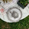 SAUDEEP INDIA Vastu Feng Shui Kristallschildkröte Schildkröte mit Teller für Glück Feng Shui Schildkröte Schildkröte (Silberschildkröte)