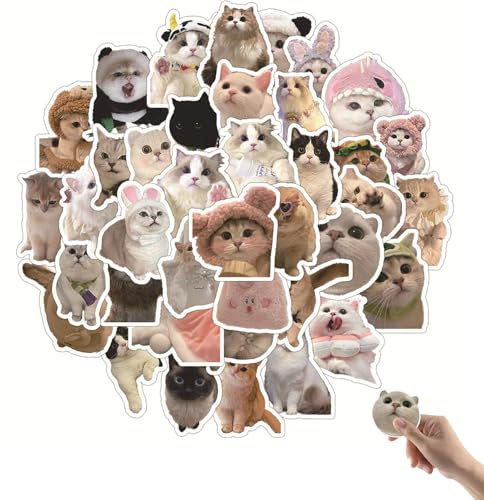 Funny Cat Stickers, 60 Pcs Meme Stickers, Cute Vinyl Waterproof Graffiti Sticker for Teens Girls Laptop Water Bottles Skateboard Computer Phone Guitar Mug