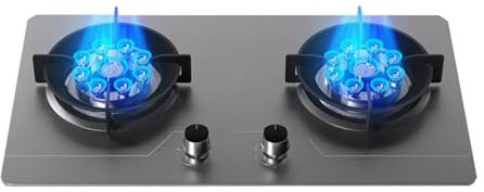 Fornello A Gas In Acciaio Inossidabile 2 Fuochi, Fornello Da Cucina, Fornello Di Conversione Gas/GPL, Con Protezione Spegnimento, For Camper Cucina Domestica(NG)