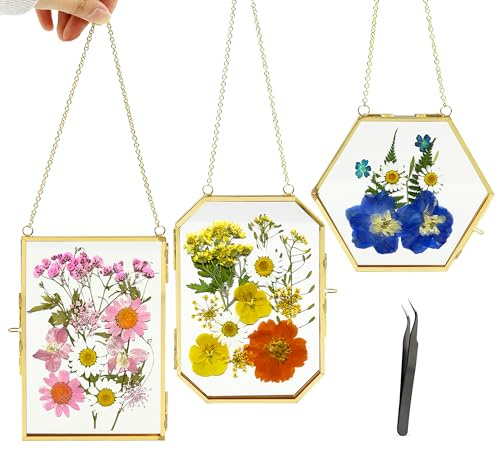 Lot de 3 cadres de fleurs pressées avec chaîne, petit cadre flottant doré avec pince à épiler, 3 formes, décoration murale double en verre pour fleurs pressées et plantes pour décoration à faire