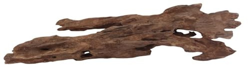 L Honey Comb Wurzel Nr.3004 Aquarium Wurzel Mangrove Holz Deko Aquascaping Dekoration Landschaft Moos Natur Echtholz