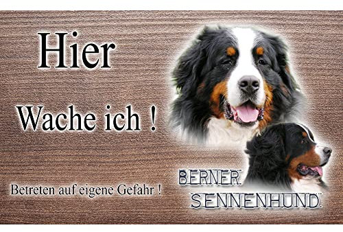 Warnschild Hund oder Warnzeichen Berner Sennenhund 20 cm