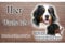Warnschild Hund oder Warnzeichen Berner Sennenhund 20 cm