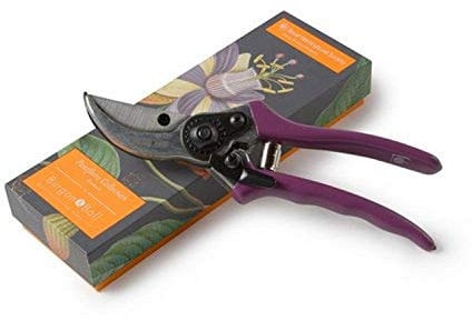 Burgon & Ball GRH/scboxpass Passiflora Gartenschere