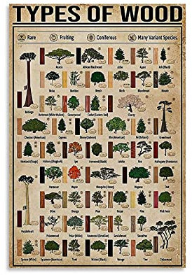 DYJ-Types of Wood Poster, dekoratives Gemälde, Leinwand, Wandkunst, Wohnzimmer, Poster, Schlafzimmer, Malerei, 60 x 90 cm