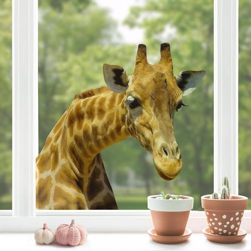 Fenstersticker No.21 Neugierige Giraffe Tiere Giraffe Afrika Zoo gefleckt Tiere Fenstersticker Fensterfolie Fenstertattoo Fensterbild Fenster-Deko Fensteraufkleber Fensterdekoration Glas-Sticker Größe: 25cm x 30cm