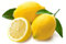 20 Dwarf Lemon Tree Seeds - Außen Pflanze, DIY Hausgarten Bonsai, duftend
